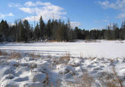 Beaver Pond, December 2009