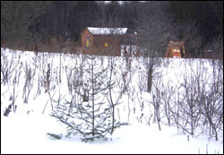 winter snow 2008