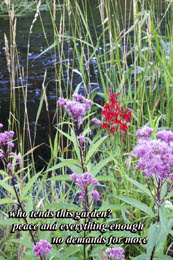 Anna Plesums - Summer 2008